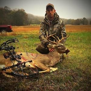 Meet your Posher, Shelby